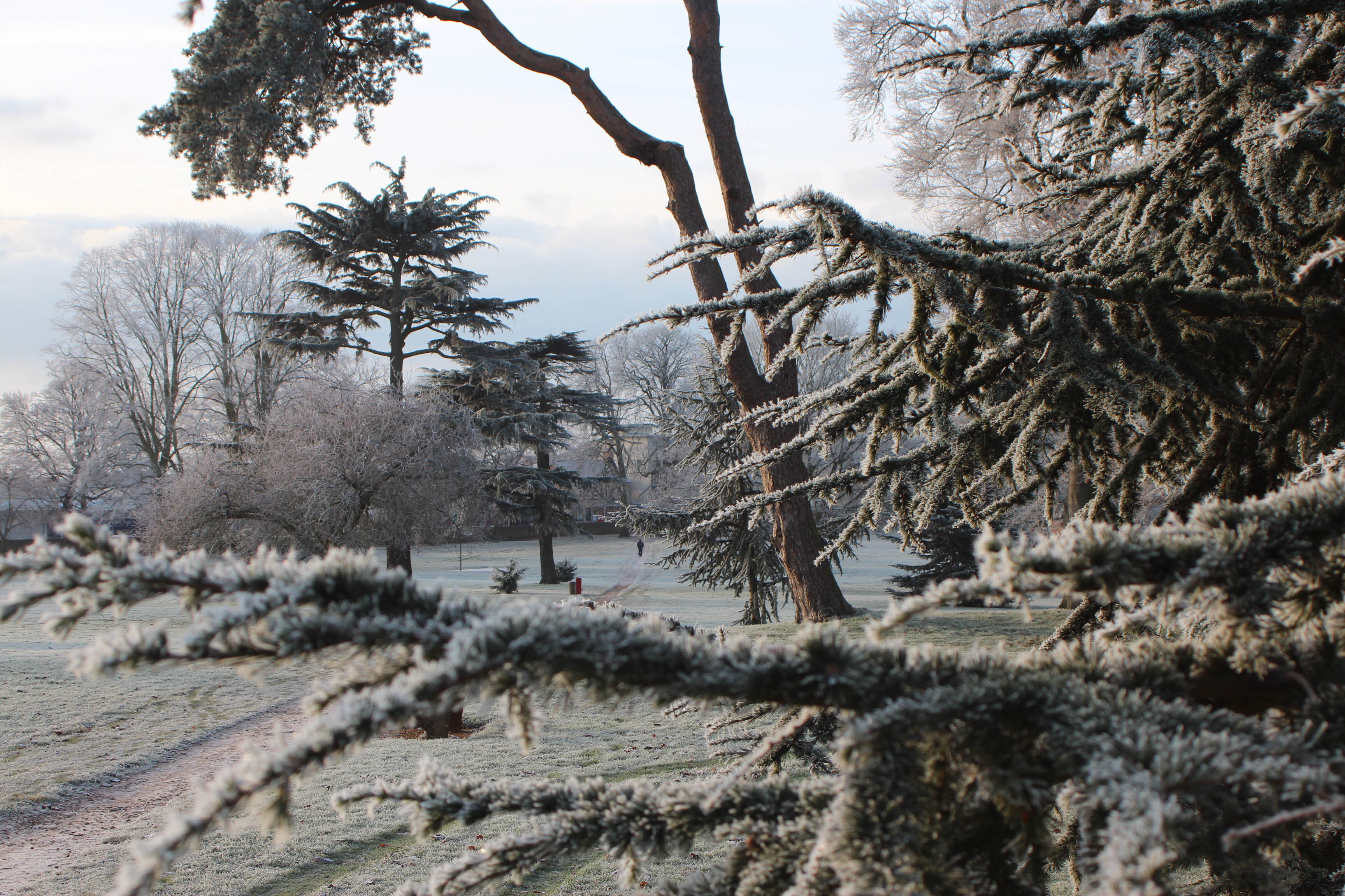 Bury Knowle Park, Headington, Oxford after a severe frost.